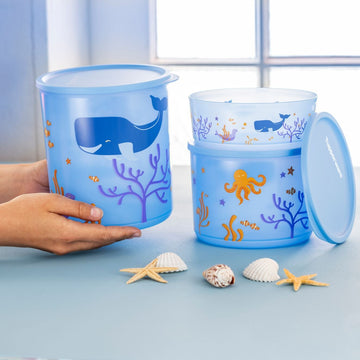 Summer Containers 950ml+ 3.3L